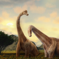 dinosaures