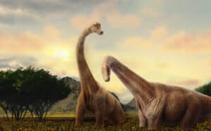 dinosaures