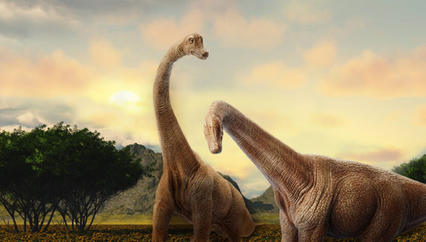 dinosaures